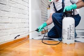 Real Estate Pest Inspections in Wallburg, NC